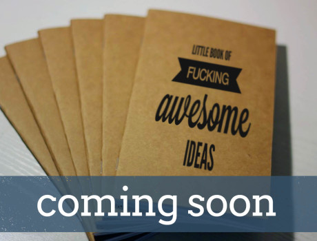 Little book of f*cking awesome ideas